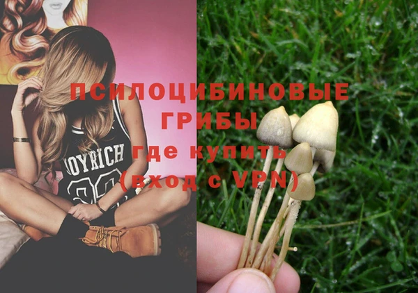 крисы Алексеевка