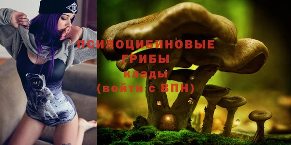 ALPHA-PVP Алексин